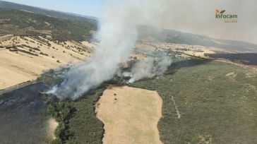 Controlado el incendio declarado este lunes en Piedrabuena (Ciudad Real)