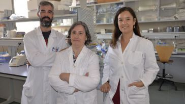 Un estudio de la UCLM prueba que la combinación de cocaína y alcohol produce un daño cerebral mayor que su consumo por separado