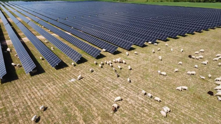 El fondo Stoneshield aflora una participación del 9,31% en la propietaria de tres plantas fotovoltaicas de CLM