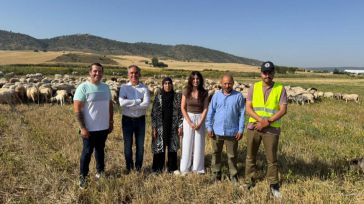 La Junta ha desembolsado en 2025 más de seis millones de euros en ayudas a explotaciones ganaderas para bienestar animal