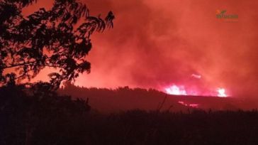 El fuego de Calera y Chozas (Toledo) se complica y pasa a nivel 2, con corte de carreteras y 67 efectivos trabajando