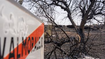 Extinguido el incendio iniciado el pasado lunes en Navalmoralejo, que saltó la frontera con Extremadura