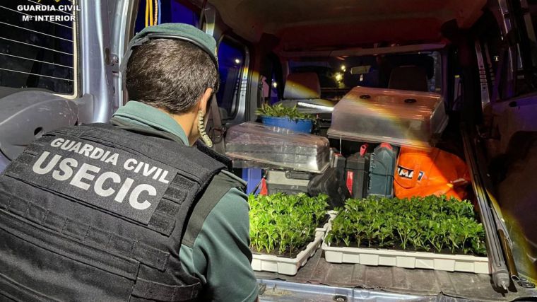Dos detenidos en Pozo de Guadalajara cuando transportaban 400 plantas de marihuana en su coche