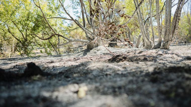Los servicios de extinción de Madrid y CLM trabajan en el incendio declarado entre Méntrida y Aldea del Fresno