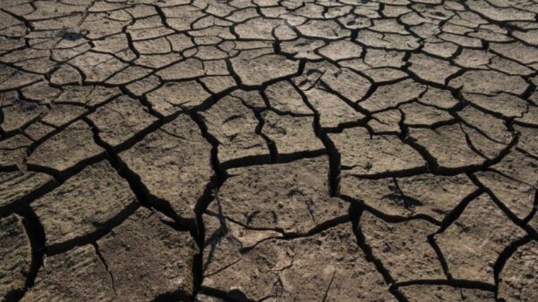 Castilla-La Mancha ofrecerá hasta 2.350 euros para los agricultores en ayudas para la sequía