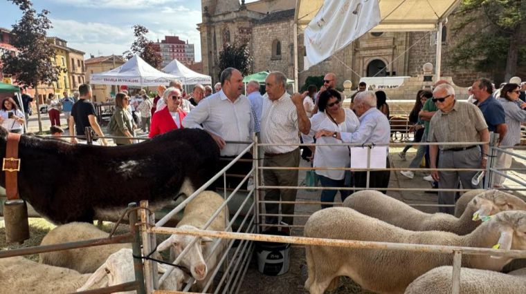 CLM pondrá a disposición del sector ganadero 18 millones de euros en ayudas al bienestar animal para los próximos tres años