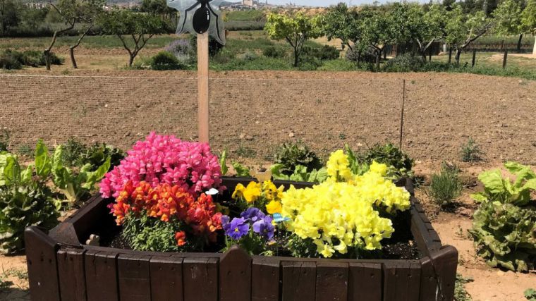 La Diputación de Toledo pone en marcha un nuevo programa de educación ambiental para promover el contacto de los escolares con la naturaleza
