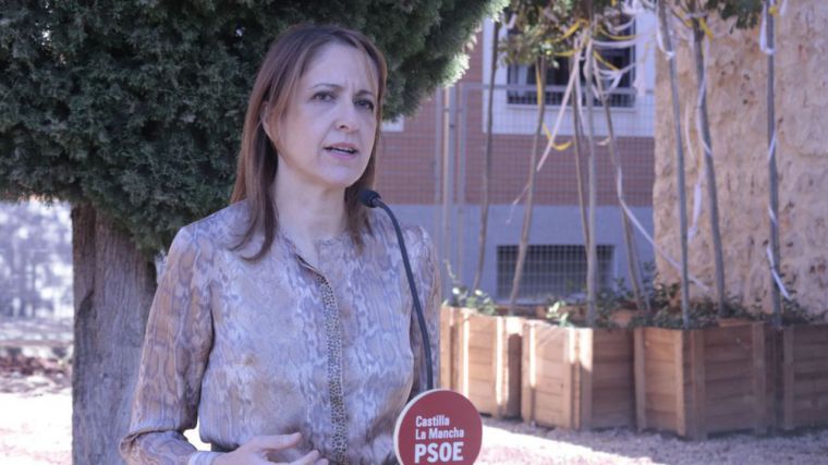 Maestre pregunta al PP y Vox por qué no trabajan en impedir los recortes de la PAC de Europa como está haciendo el PSOE