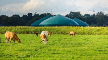 Moeve y la ciudadrealeña ID Energy desarrollarán proyectos de biometano equivalentes al consumo anual de 140.000 hogares