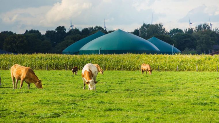 Moeve y la ciudadrealeña ID Energy desarrollarán proyectos de biometano equivalentes al consumo anual de 140.000 hogares