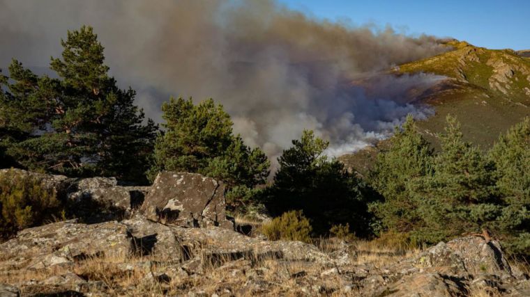 Estabilizado el incendio de Peñalba de la Sierra, que bajará a nivel 0 tras nueve días de trabajos