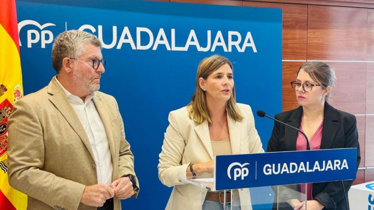 PP C-LM exige la dimisión de la consejera de Desarrollo Sostenible por la gestión del incendio de Peñalba de la Sierra