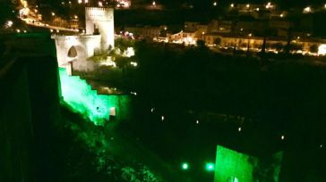 Plena inclusión Castilla-La Mancha celebra el Día de la Plena inclusión con la iluminación en verde de monumentos de Toledo