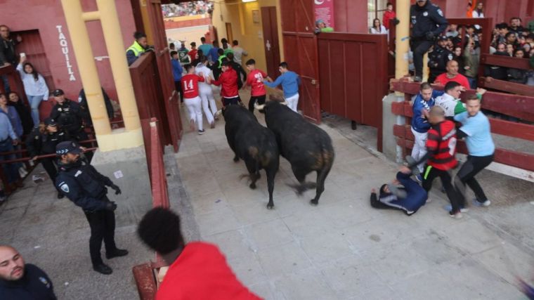 El Gobierno regional cree que PSOE hizo 'lo correcto' al abstenerse en ILP sobre tauromaquia: 'No estamos para más divisiones'