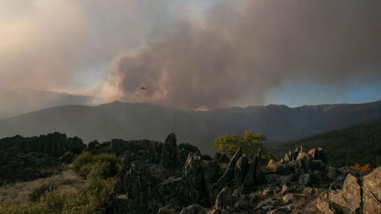 Los servicios de extinción de incendios dan por extinguido el de Peñalba de la Sierra, tras 22 días de trabajo