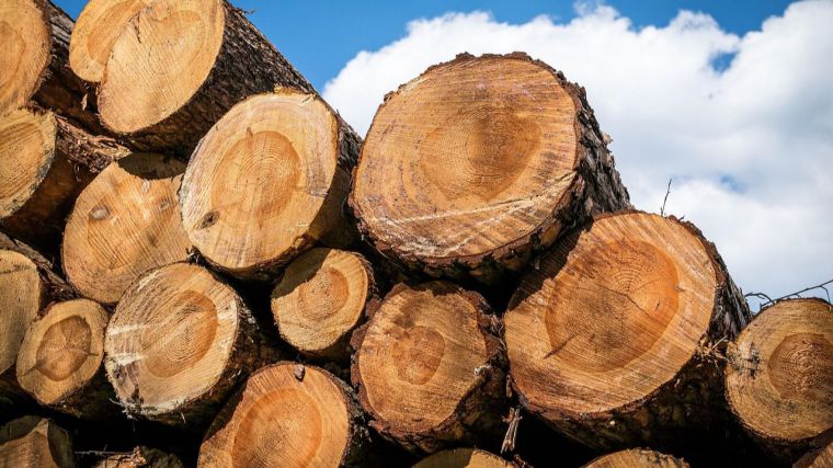 Entran en vigor los aranceles mínimos del 10% impuestos por EEUU a las importaciones de madera