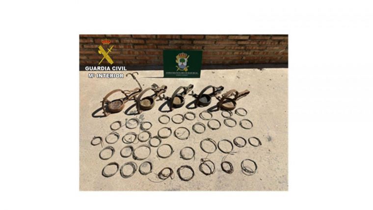 El Seprona interviene varios medios prohibidos para la captura de especies silvestres en la provincia de Ciudad Real