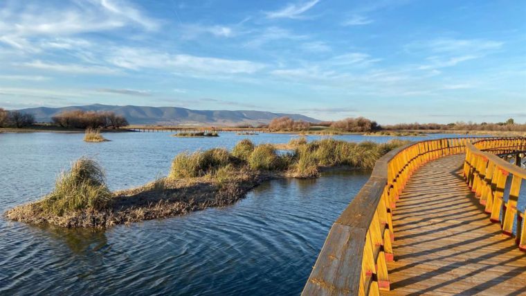 Ecologistas alertan de la aparición de gripe aviar en las Tablas de Daimiel y reclaman revisar la gestión del parque