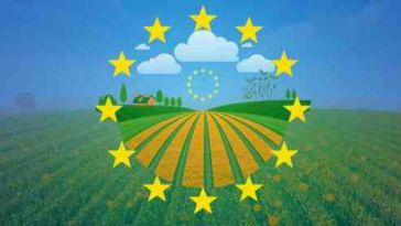 Pequeños Agricultores califican de 'tomadura de pelo' las modificaciones del borrador de la PAC