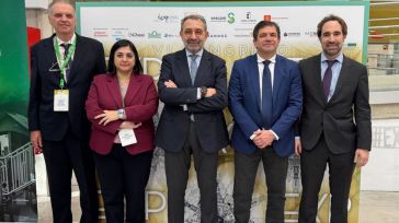 El consejero de Sanidad reconoce un "ligero repunte" de la gripe en la región