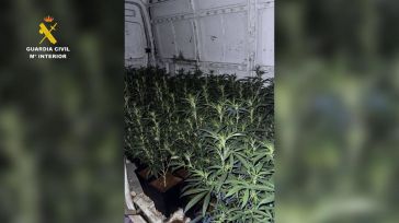 Dos detenidos en un pueblo de Toledo por circular con 124 plantas de marihuana en una furgoneta