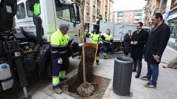 El Ayuntamiento de Toledo planta 60 nuevos árboles en el barrio de Santa Teresa tras las obras de renovación del acerado y del pavimento