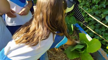 La Diputación de Toledo aprueba la convocatoria de subvenciones para huertos escolares ecológicos en la provincia durante este curso