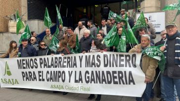 Ganaderos de Ciudad Real exigen a la Junta que se compense a los afectados por la lengua azul y más vacunación