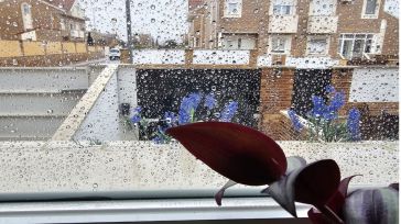 Toledo activa el Plan Territorial de Emergencia Municipal por las condiciones meteorológicas adversas