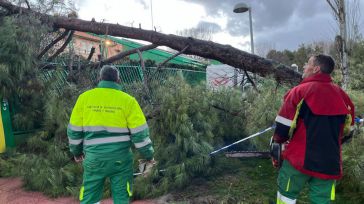 El fuerte viento deja 57 incidencias en Ciudad Real