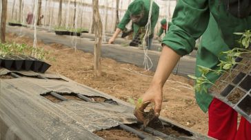 Castilla-La Mancha pierde 2.052 afiliados extranjeros en enero, pero mantiene un crecimiento anual del 8,5%