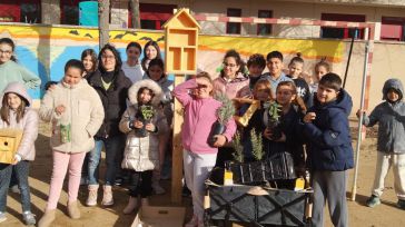 La Diputación de Toledo impulsa la biodiversidad en los centros educativos con el programa educativo “Patios Vivos”