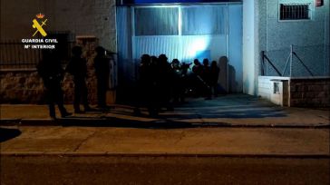 Más de 10.000 plantas de marihuana incautadas y seis detenidos en una operación en Segovia, Illescas y Madrid