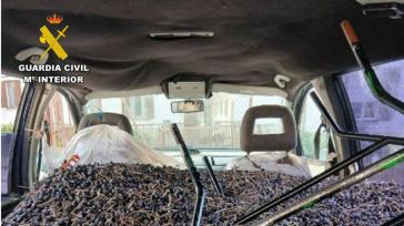 Detenidas tres personas en Val de Santo Domingo por el hurto de 810 kg de aceitunas