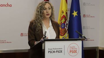 Fernández critica la justificación del PP para votar en contra de la ley de acompañamiento a los presupuestos: “Intenta bloquear los avances”