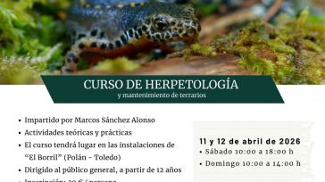 La Diputación de Toledo convoca un curso sobre anfibios, reptiles y terrarios en la finca El Borril