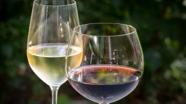 La paradoja del vino en Castilla-La Mancha: Récord de exportación pero beneficios limitados en el campo