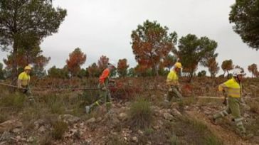 Universitarios y estudiantes de Secundaria se forman en la convivencia con incendios forestales