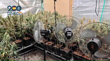 La Policía Nacional lanza una operación en Talavera de la Reina contra una red de cultivos ilegales de marihuana ubicada en el barrio del Patrocinio