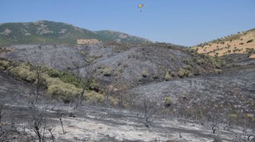 Los vecinos de Huertezuelas (Ciudad Real) ya pueden volver a sus casas y el incendio desciende a Nivel 1