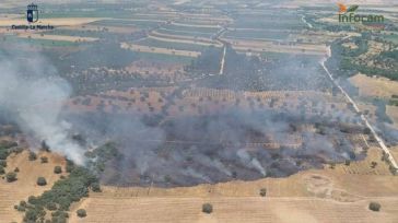 Controlado el incendio declarado este domingo en Malpica del Tajo