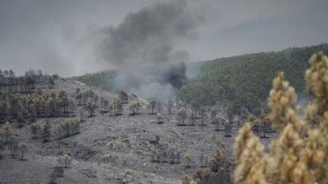 El incendio de La Mierla (Guadalajara) arrasa ya unas 9.000 hectáreas, con 16 localidades evacuadas y más de 700 vecinos afectados