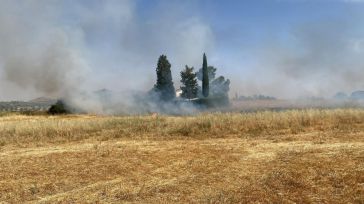 Un incendio de pasto en Burguillos de Toledo junto a una vivienda moviliza a bomberos e INFOCAM