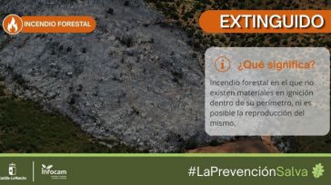 Extinguido el incendio declarado este jueves en Retuerta del Bullaque (Ciudad Real)
