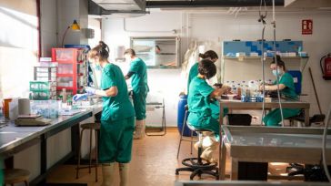 La Universidad de CLM lanza la mayor convocatoria postdoctoral de su historia, con más de 3,2 millones de euros y 30 contratos