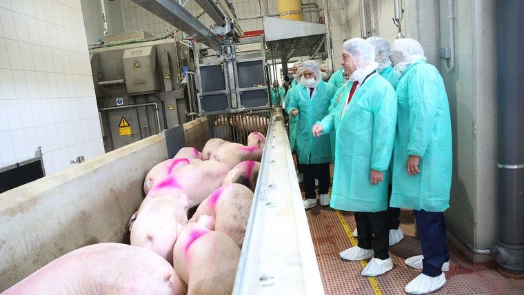 Emiliano García-Page inaugura el nuevo matadero de porcino de Incarlopsa en junio del año pasado.