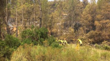 La Junta impide a los agentes medioambientales denunciar delitos contra el medio ambiente ante los juzgados