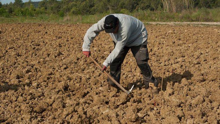 EL PARO BAJA DE 4 MILLONES POR PRIMERA VEZ DESDE 2010