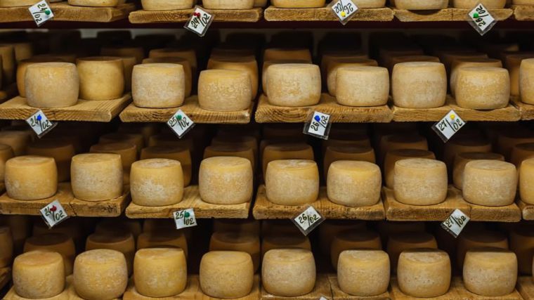 EL SECTOR AGROALIMENTARIO MOTOR DE LA INDUSTRIA DE CLM